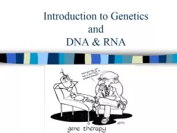 Introduction  to  Genetics