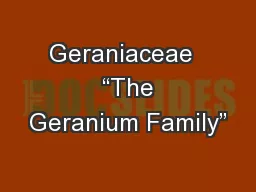 Geraniaceae   “The Geranium Family”