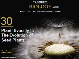 0 Plant Diversity II: The Evolution of Seed Plants
