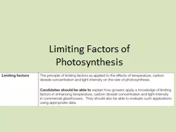 Limiting Factors of Photosynthesis