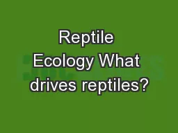 Reptile Ecology What drives reptiles?