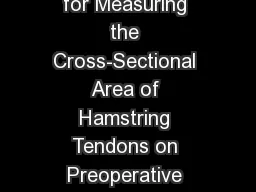 Optimal Location for Measuring the Cross-Sectional Area of Hamstring Tendons on Preoperative