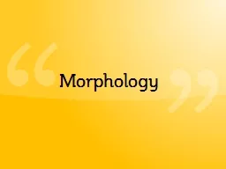 “ “      Morphology Morphology