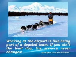 Working at the airport is like being part of a dogsled team. If you