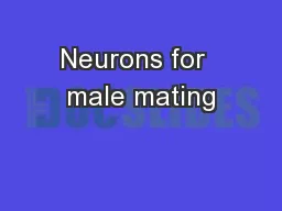 Neurons for  male mating