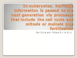 In eukaryotes, heritable information is passed to the next generation via processes that