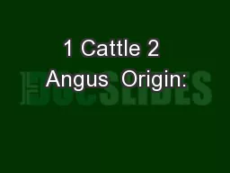 1 Cattle 2 Angus  Origin: