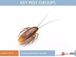 Lesson 3 of  3 Key pest groups