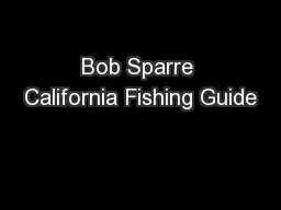 Bob Sparre California Fishing Guide
