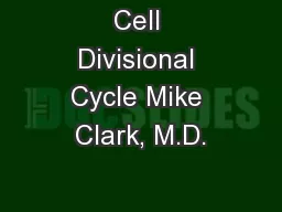 Cell Divisional Cycle Mike Clark, M.D.