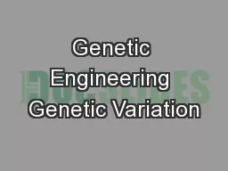 Genetic Engineering Genetic Variation