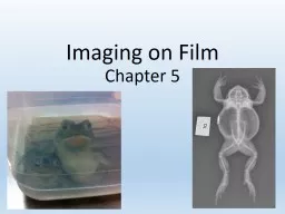 Imaging on Film RVT:  Chapter