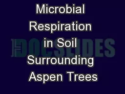 Microbial Respiration in Soil Surrounding Aspen Trees