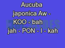 Aucuba japonica Aw - KOO - bah     jah - PON - I - kah