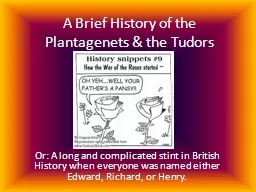 A Brief History of the  Plantagenets