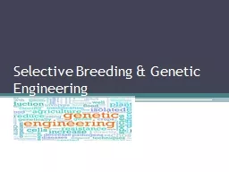 Selective Breeding & Genetic Engineering