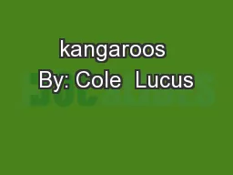 kangaroos By: Cole  Lucus