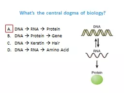 What’s the central dogma of biology?