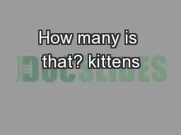 How many is that? kittens