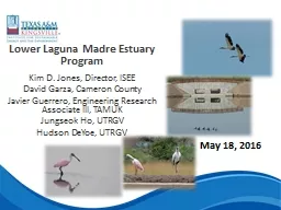 Lower Laguna Madre Estuary Program