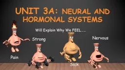 Unit 3A:  Neural and Hormonal Systems