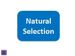 Natural Selection Natural Selection 3 Facts, 1 Lie