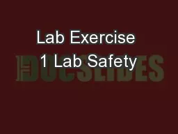 Lab Exercise 1 Lab Safety