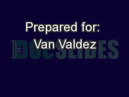Prepared for: Van Valdez