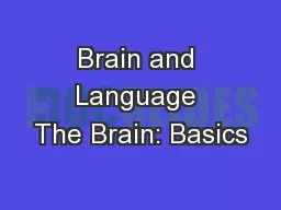 Brain and Language The Brain: Basics