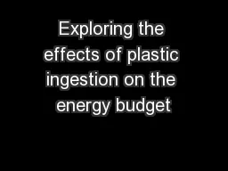 Exploring the effects of plastic ingestion on the energy budget