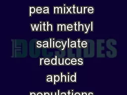 Does combining a wheat and pea mixture with methyl salicylate reduces aphid populations