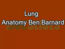 Lung Anatomy Ben Barnard