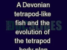 Discussion of  A Devonian tetrapod-like fish and the evolution of the tetrapod body plan