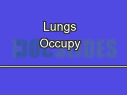 Lungs  Occupy  ______________________________________ except