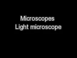 Microscopes Light microscope