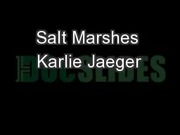 Salt Marshes Karlie Jaeger