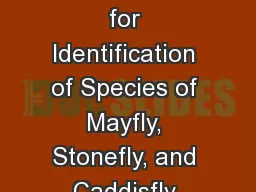 Southeastern EPT: A Guide for Identification of Species of Mayfly, Stonefly, and Caddisfly