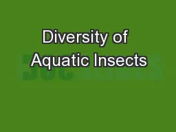 Diversity of Aquatic Insects