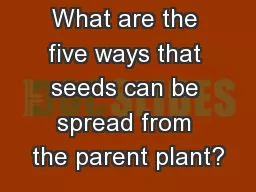 What are the five ways that seeds can be spread from the parent plant?