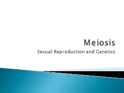Meiosis Sexual Reproduction and Genetics