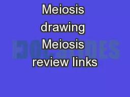 Meiosis drawing Meiosis review links