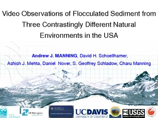 Video Observations of Flocculated Sediment from Three