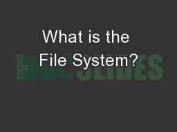 What is the File System?