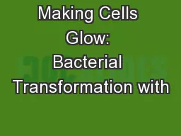Making Cells Glow: Bacterial Transformation with