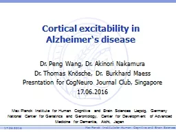 Cortical  excitability in Alzheimer‘s disease