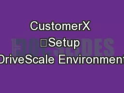 CustomerX 	Setup DriveScale Environment