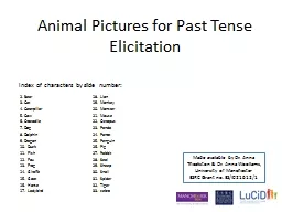 Animal Pictures for Past Tense Elicitation