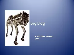 Big Dog  By  Z ack  Tippie