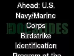 Full Steam Ahead: U.S. Navy/Marine Corps Birdstrike Identification Program at the