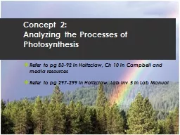 Concept 2:  Analyzing  the Processes of Photosynthesis